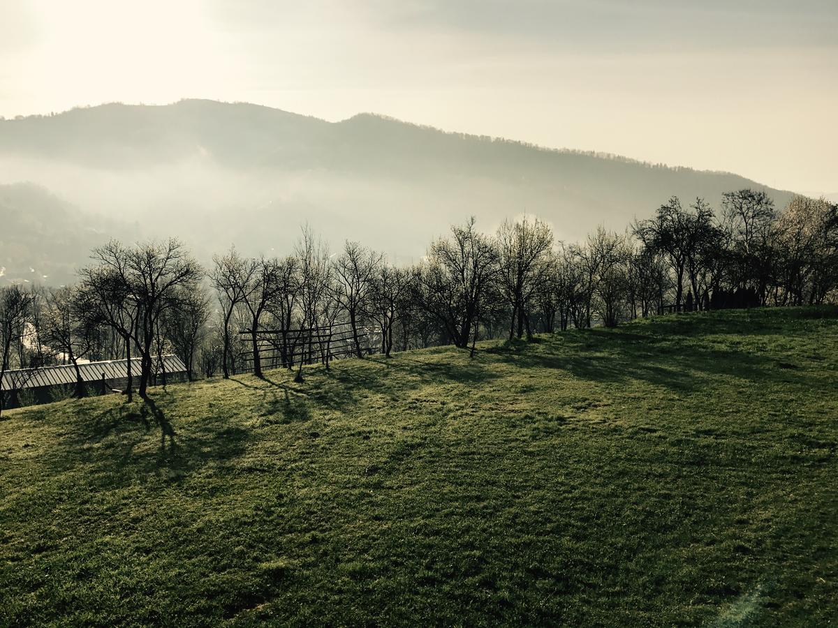 Magnolia Resort Chalets Viseu de Sus Bagian luar foto