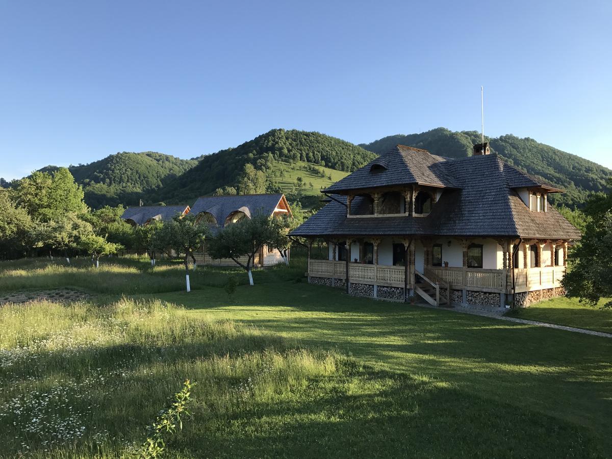 Magnolia Resort Chalets Viseu de Sus Bagian luar foto